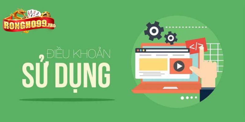 Trong điều khoản sử dụng Rongho99 người chơi có quyền và nghĩa vụ nhất định